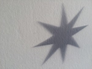 Winter star